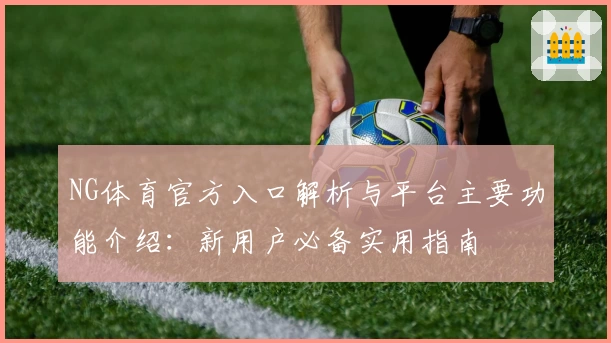 NG体育官方入口解析与平台主要功能介绍：新用户必备实用指南